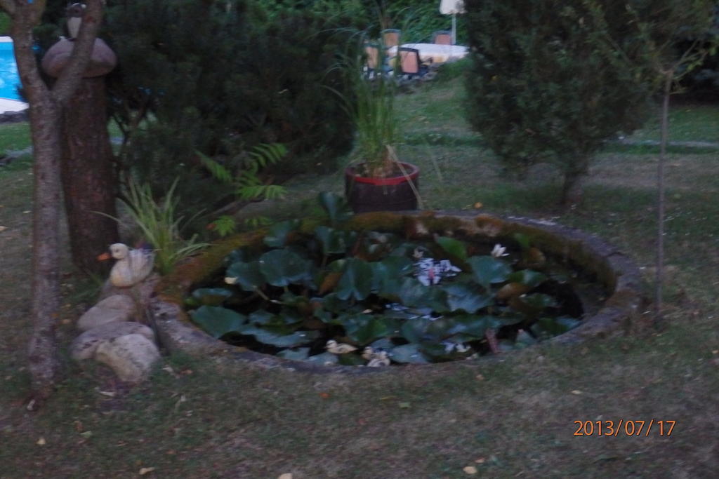 Villa Blanka Horni Podkozi ภายนอก รูปภาพ