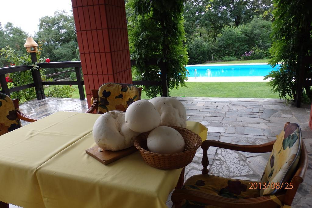 Villa Blanka Horni Podkozi ภายนอก รูปภาพ