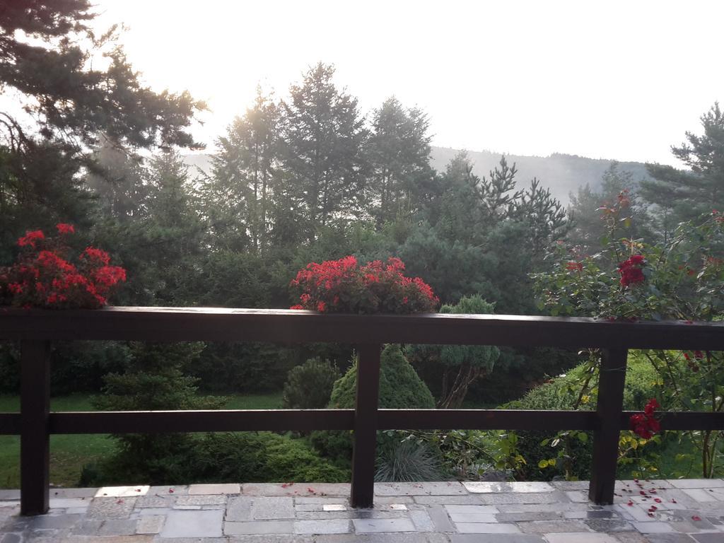 Villa Blanka Horni Podkozi ภายนอก รูปภาพ